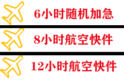 布拉克空运代理快递公司,专业空运当天件